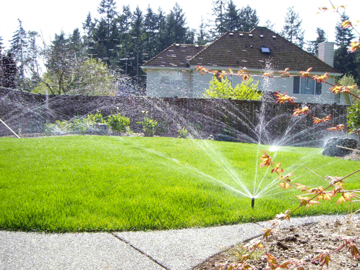 sprinkler-grass-yard-vibrant Quality Sprinklers in Grass Yard.