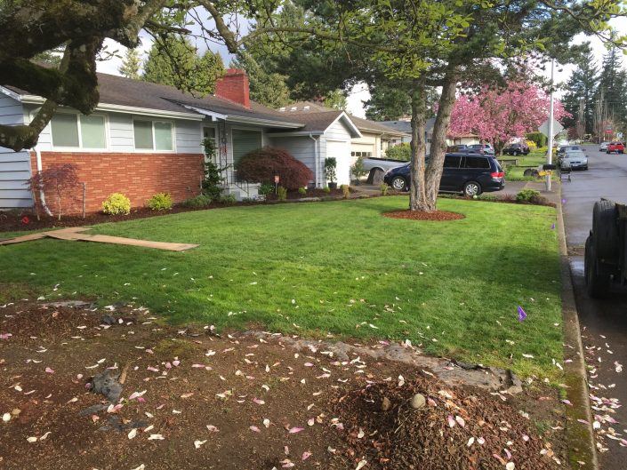 after-sprinkler-installation-front-yard-3 After Sprinkler Installation. Front yard #3.