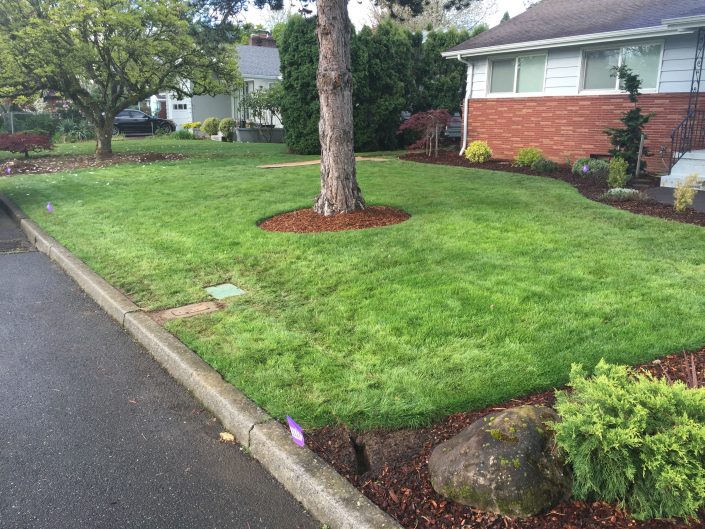 after-sprinkler-installation-front-yard-4 After Sprinkler Installation. Front yard #4.