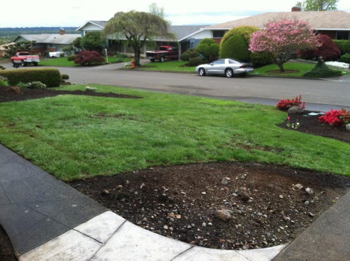 after-sprinkler-installation-gresham-2 After Sprinkler Installation. Front yard #2.