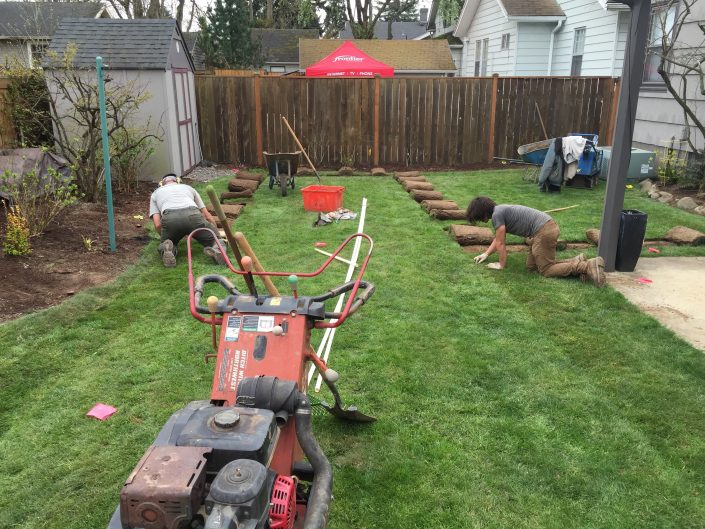 after-the-installation-back-yard-2 After Sprinkler Installation. Backyard #2.