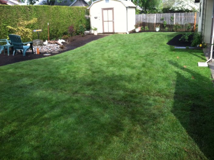 back-yard-sprinkler-installation-gresham-4 Backyard Sprinkler Installation #4.