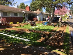 During sprinkler installation process. Front yard #1.